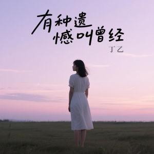 Album 有种遗憾叫曾经 from 丁乙
