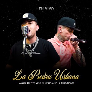 收聽La Piedra Urbana的Ahora Que Te Vas / El Mismo Aire / a Puro Dolor (En Vivo)歌詞歌曲