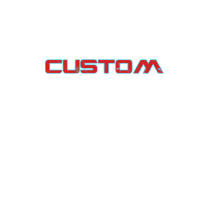 收聽L Shady的Custom (Explicit)歌詞歌曲
