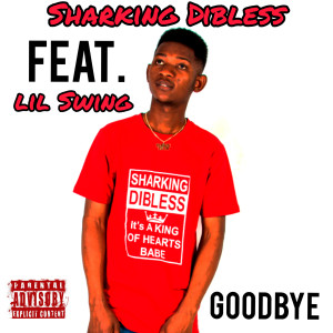 Listen to Goodbye (Explicit) song with lyrics from Sharking Dibless