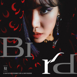 Listen to Bird song with lyrics from 金南珠