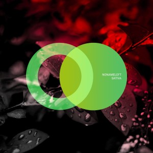 ดาวน์โหลดและฟังเพลง Sativa พร้อมเนื้อเพลงจาก Nonameleft