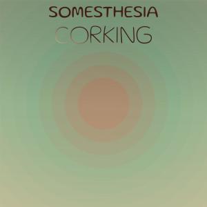 Listen to Joshua Tatum song with lyrics from Arta Piey