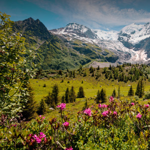 อัลบัม Dans la Tarentaise ศิลปิน Martèn LeGrand