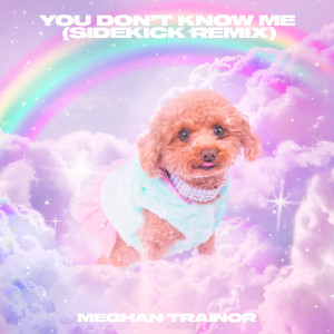 Meghan Trainor的專輯You Don't Know Me (Sidekick Remix)