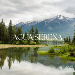Musica Relajante Para Estudiar的專輯Agua Serena