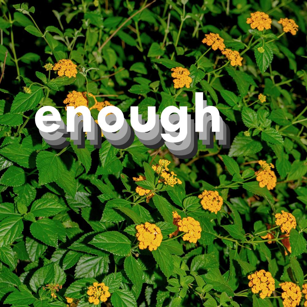 enough - (Nura & Peregrino Remix) (Explicit)
