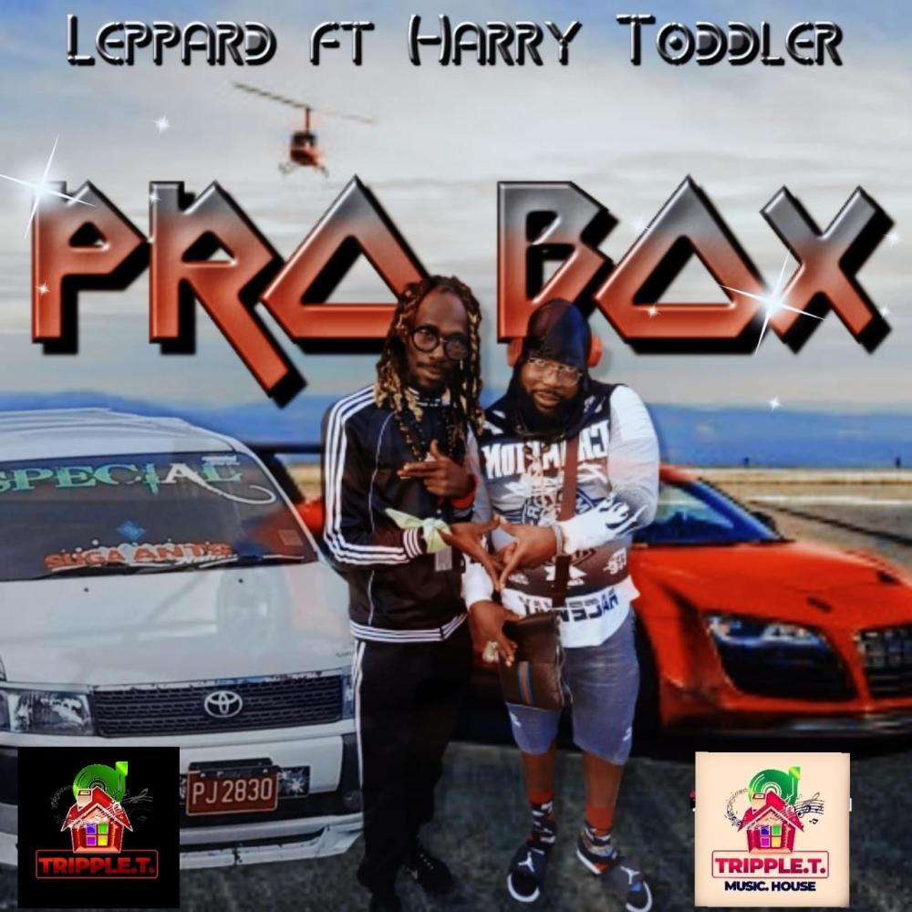 Pro Box (feat. leopard)