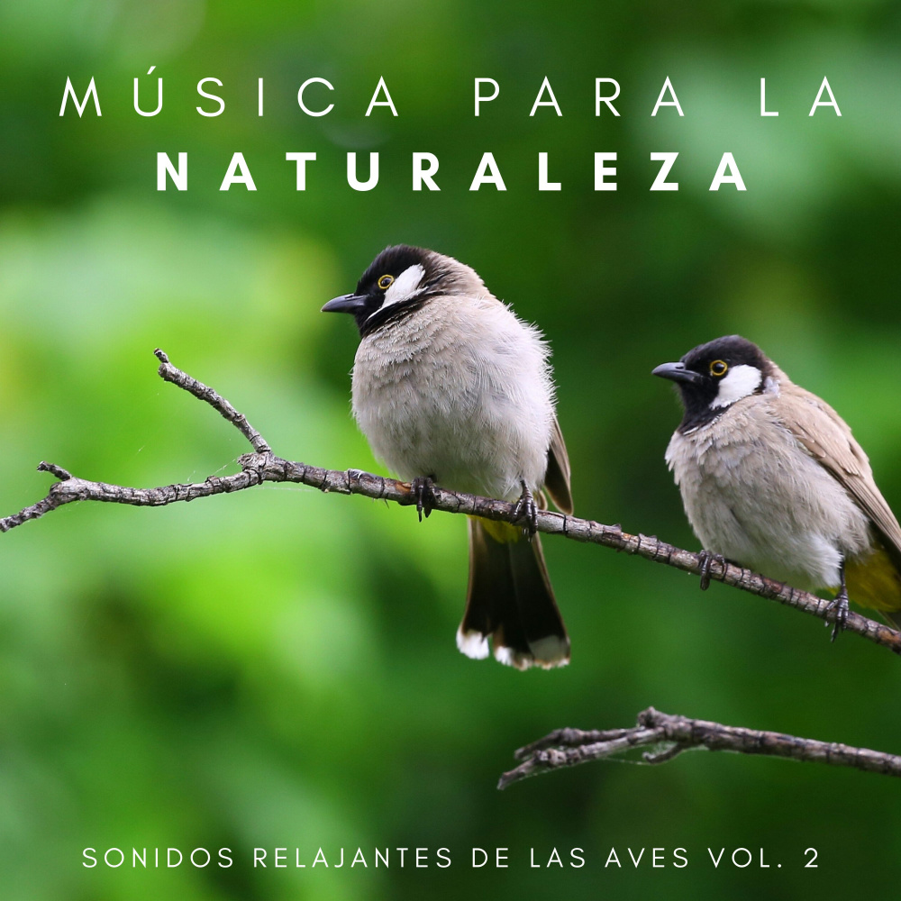 Chico De La Naturaleza