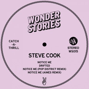 Listen to Notice Me (Aimes Remix) song with lyrics from Steve Cook