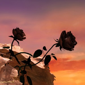 Listen to Sacrifice song with lyrics from MADD