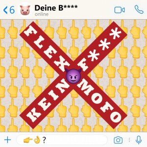 Listen to Kein Fick song with lyrics from FLEX MOFO