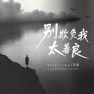Listen to 别欺负我太善良 (纯享版) song with lyrics from 王虹-王棚主