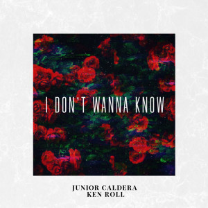 收聽Junior Caldera的I Don't Wanna Know歌詞歌曲