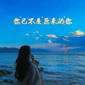 收听沉迷的你已不是原来的你 (完整版)歌词歌曲