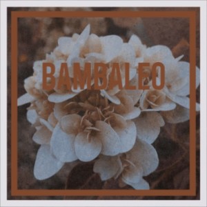 Various的專輯Bambaleo