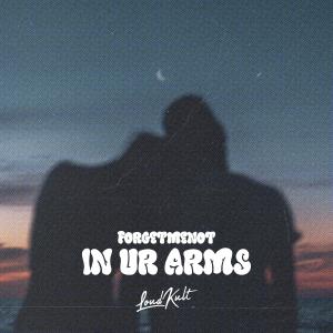 Listen to In Ur Arms song with lyrics from ForgetMeNot