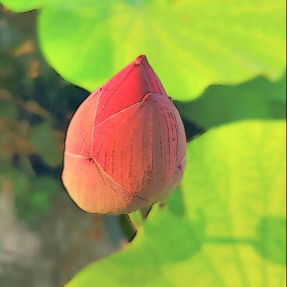 Leaves Under The Sun