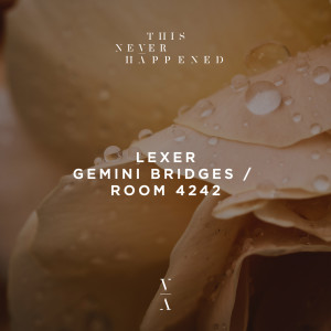 Album Gemini Bridges / Room 4242 from Lexer