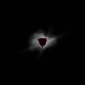 Album Uncrush x Black Velvet (Explicit) from 