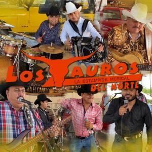 ดาวน์โหลดและฟังเพลง Popurrí Al Estilo Linares (Live) พร้อมเนื้อเพลงจาก Los Tauros del Norte