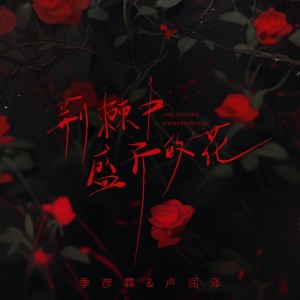 Album 荆棘中盛开的花 from 季彦霖