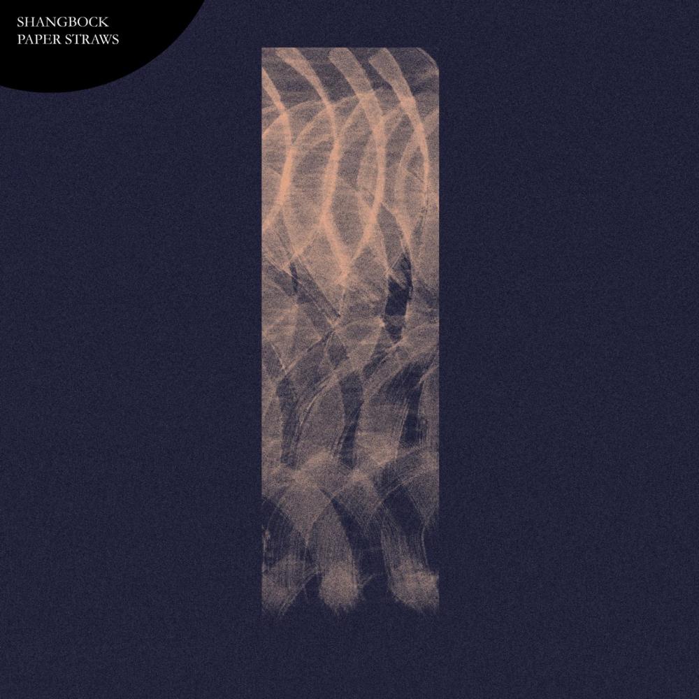 Paper Straws
