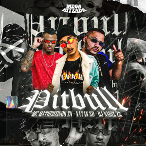 ดาวน์โหลดและฟังเพลง Pitbull (Explicit) พร้อมเนื้อเพลงจาก Mc Natan SB