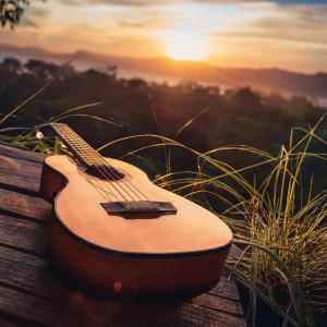 อัลบัม Calm Guitar Music: Sounds for Relaxation ศิลปิน Relaxing and Calming