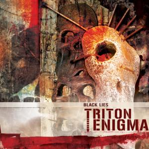 ดาวน์โหลดและฟังเพลง Into My Reality พร้อมเนื้อเพลงจาก Triton Enigma
