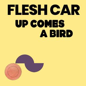 Flesh Car的專輯Up Comes a Bird