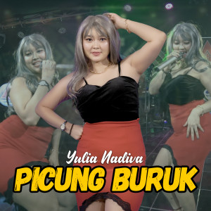 收聽Yulia Nadiva的Picung Burung歌詞歌曲