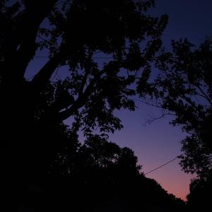 收聽Saint Jay的you're going to die and so am i歌詞歌曲