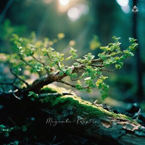 ดาวน์โหลดและฟังเพลง Kaapora พร้อมเนื้อเพลงจาก Mu'gambi