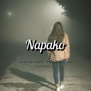 收聽Joshua Mari的Napakong Pangako (Explicit)歌詞歌曲