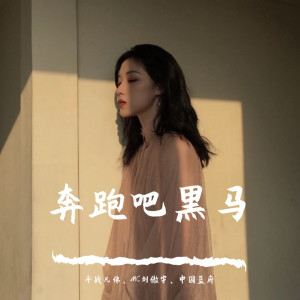 Listen to 灞波儿奔奔波儿灞（抖音版） song with lyrics from 斗战凡佛