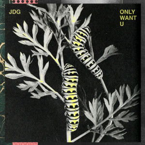 Album ONLY WANT U (Extended Mix) from JDG