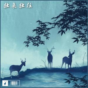 Listen to 独来独往 伴奏 (完整版) song with lyrics from SMALL DISH