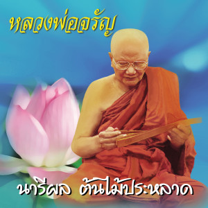 ดาวน์โหลดและฟังเพลง นารีผล ต้นไม้ประหลาด พร้อมเนื้อเพลงจาก หลวงพ่อจรัญ ฐิตธมฺโม