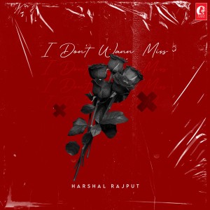 Harshal Rajput的專輯I Don't Wann Miss