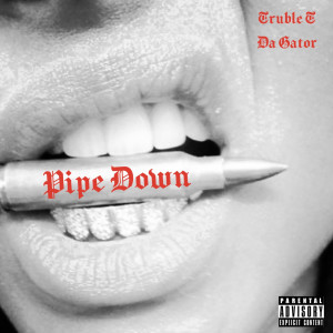 Album Pipe Down (Explicit) from 
