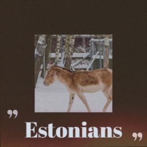 อัลบัม Estonians ศิลปิน Bais