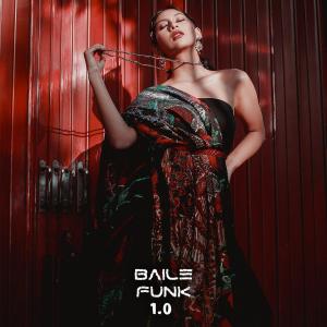 Album Baile Funk 1.0 oleh DJ FUNKOT