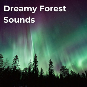 Dreamy Forest Sounds