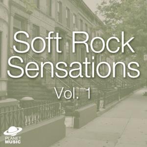 อัลบัม Soft Rock Sensations, Vol. 1 ศิลปิน The Hit Co.