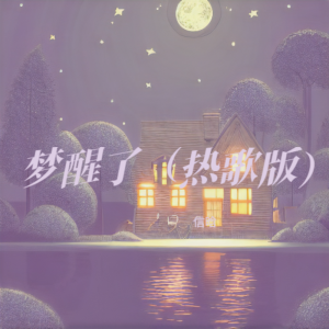 Album 梦醒了（热歌版） oleh 上官晓懿