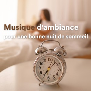 Album Musique D'ambiance Pour Une Bonne Nuit De Sommeil oleh Sleep Sounds Ambient Noises