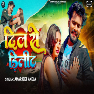 Amarjeet Akela的专辑Dilwa Se Delete
