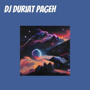 Listen to Dj Duriat Pageh song with lyrics from Herlina
