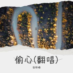 收聽張盼峰的偷心 (cover: 張學友) (完整版)歌詞歌曲
